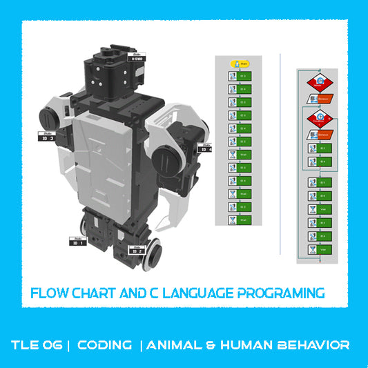 TLE06 | Coding Human and Animal Behavior